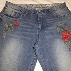 Embroidered Blue Jeans 18x36